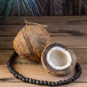 Collier en coque de coco